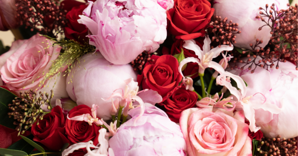 History of Peonies and Its Symbolisms | Petite Fleur
